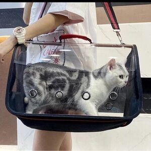 Bird Small Pets Carrier Breathable Travel Cage W/Perch Foldable Size Large New